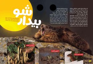 اطلاعاتی از خواب زمستانی حیوانات در مجله حیوانات شگفت انگیز شماره 2