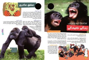 انواع میمون ها در مجله نبات شماره 55