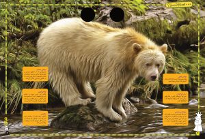 دانستنی در مورد خرس سفید در مجله نبات شماره 57